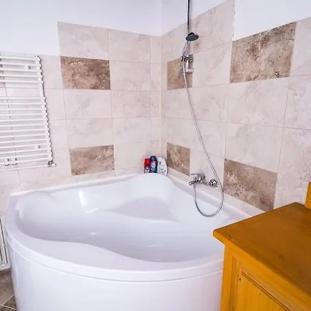 Holiday home Lazar Siclod